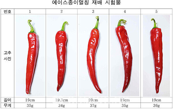 ㈜에이스멀치, 농작물 수확에 기존과 큰차이 성과