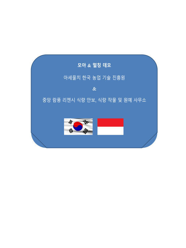 인도네시아 결과보고서(2개국어)