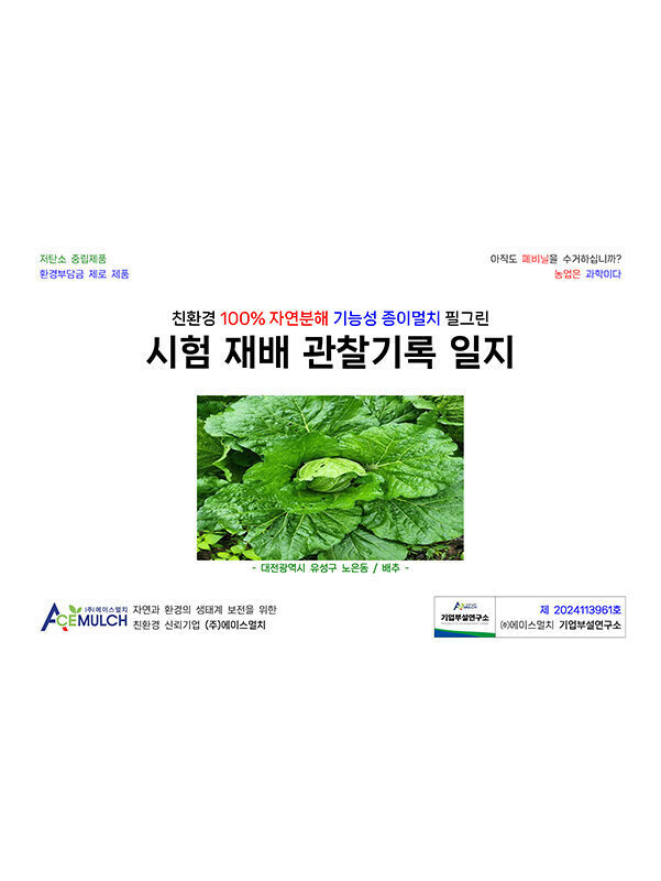 대전 노은동 관찰일지