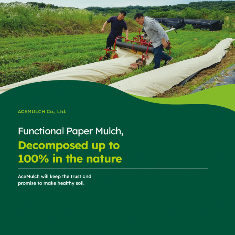 2023년 브로슈어 (영어)