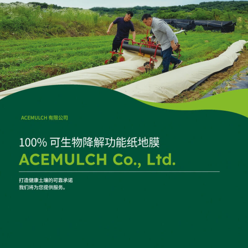 2023년 브로슈어 (중국어)