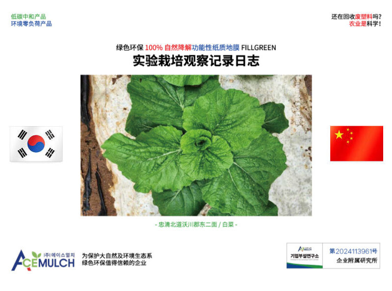 관찰기록일지 (중국어)