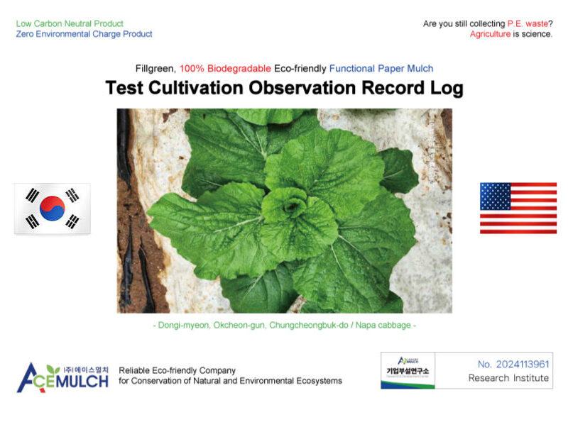 관찰기록일지 (영어)