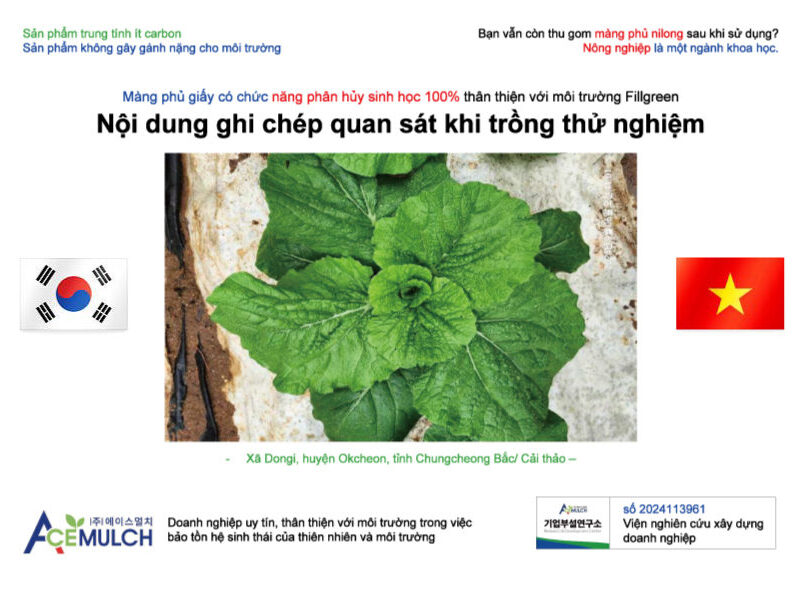 관찰기록일지 (베트남어)