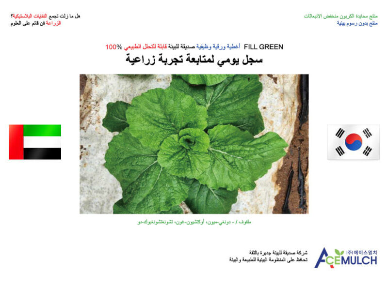 관찰기록일지 (아랍어)