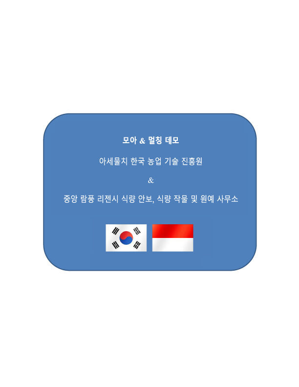인도네시아 결과보고서 (한국어)