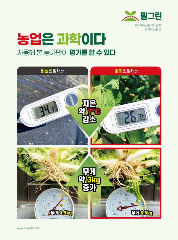 2025년 브로슈어 (한국어)