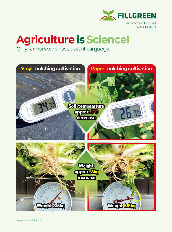2025년 브로슈어 (영어)