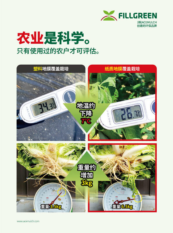 2025년 브로슈어 (중국어)