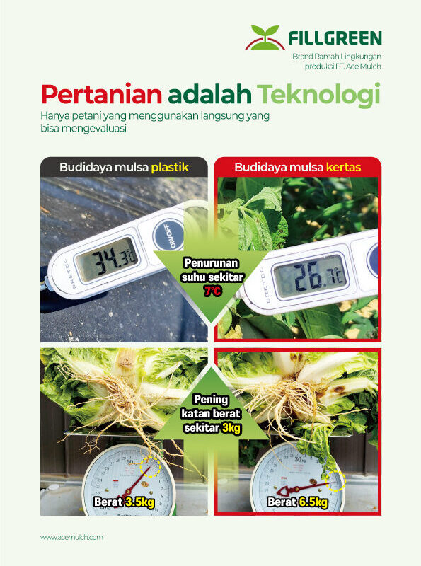 2025년 브로슈어 (인도네시아어)