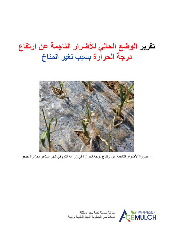 고온피해 현황 보고서 (아랍어)