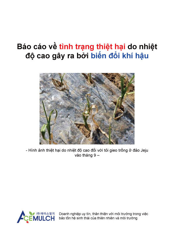 고온피해 현황 보고서 (베트남어)