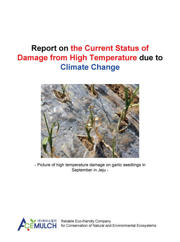 고온피해 현황 보고서 (영어)