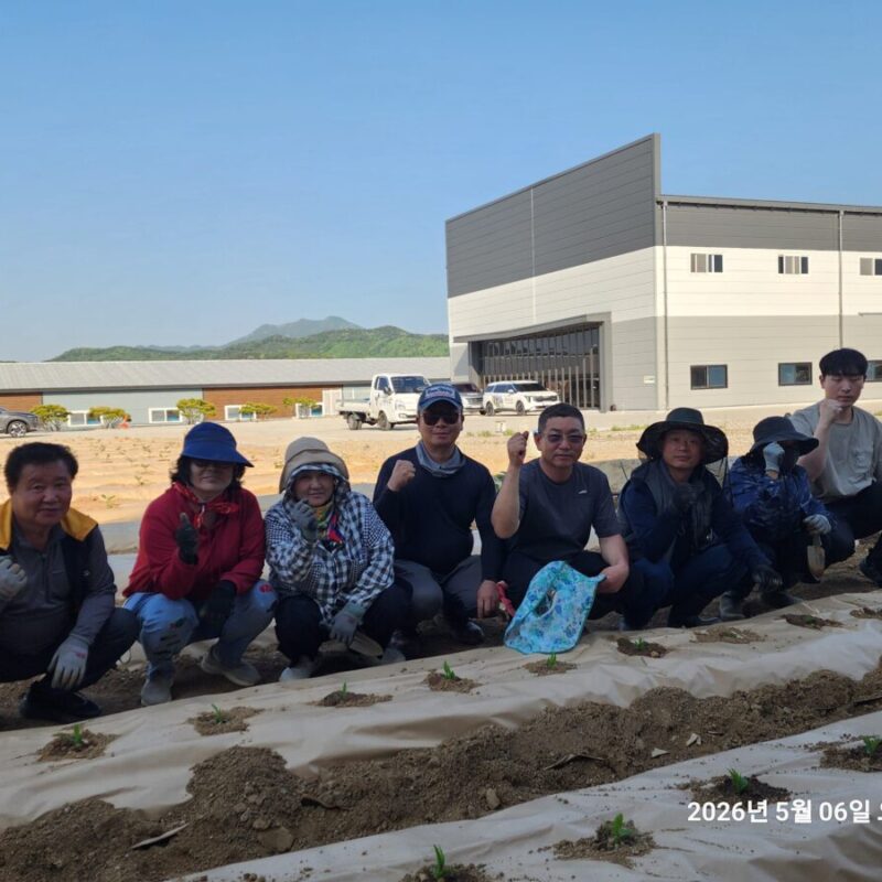 충북 영동군 계산리 가지 재배(26-05-06)