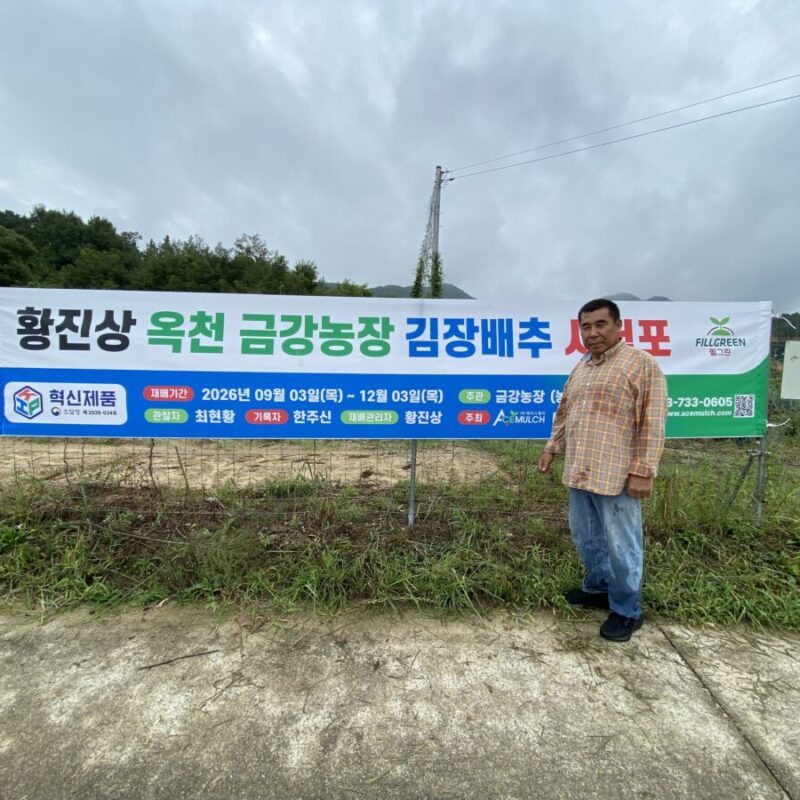 충북 옥천군 동이면 김장배추 재배(26-09-08)